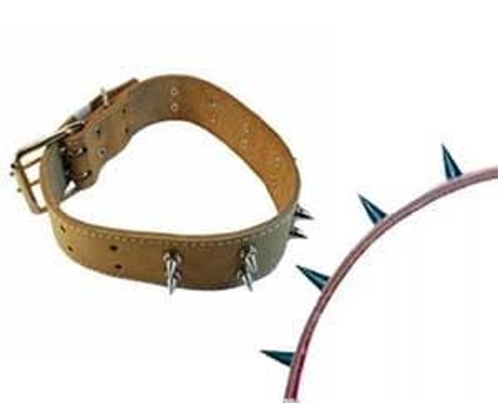 ОШЕЙНИК "BUDDY" 36мм 1сл С ШИПАМИ (062) КРАСНЫЙ 47-60см ОШЕЙНИК "BUDDY" 36мм 1сл С ШИПАМИ (062) КРАСНЫЙ 47-60см