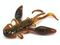 Твистеры съедобные LJ Pro Series ROCK CRAW 2.8in (7,2 см), цв. 085, 6 шт.