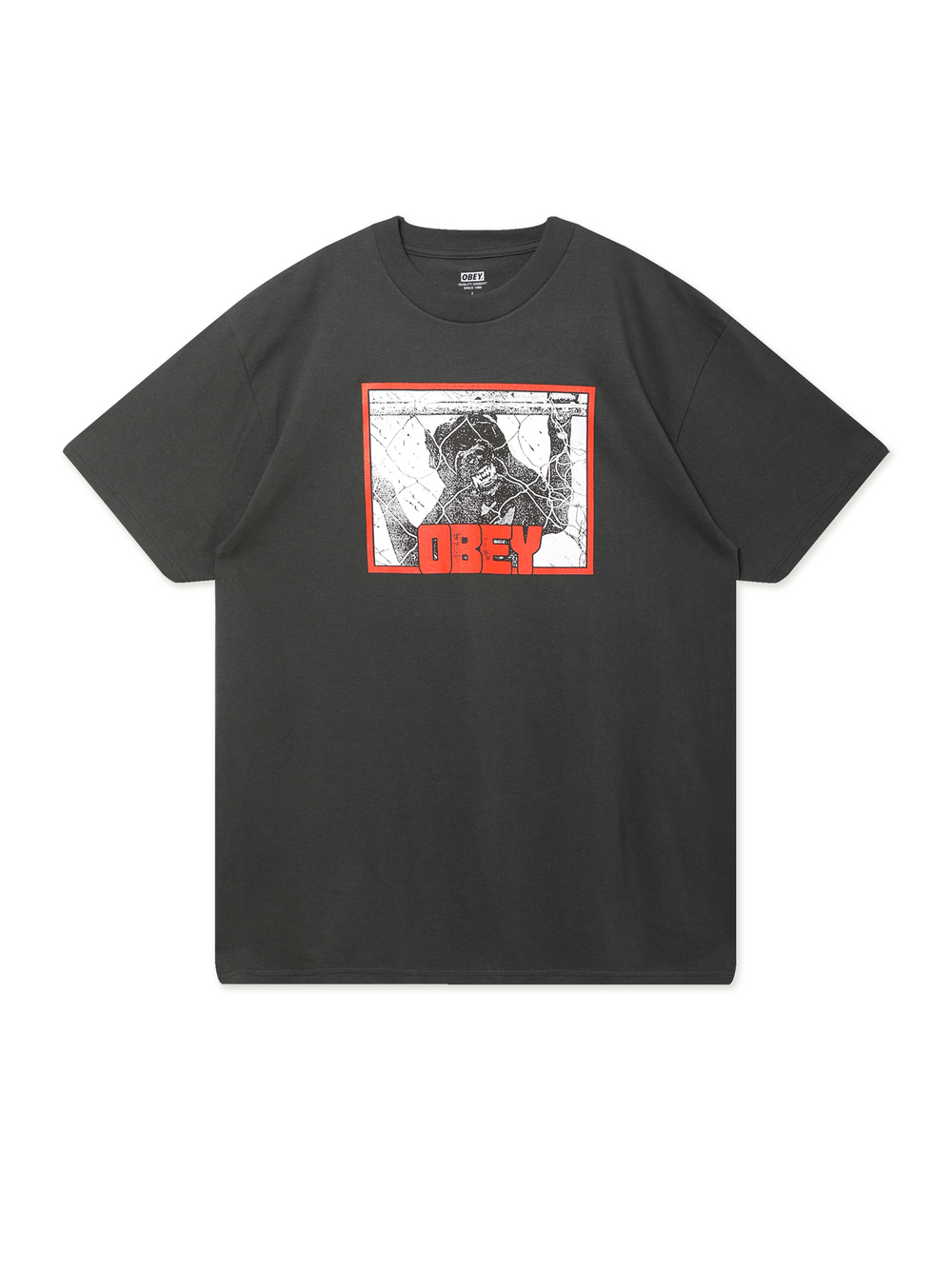 Мужская Футболка Obey Beware