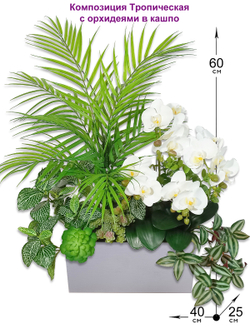 Композиция Тропическая с белыми орхидеями в кашпо