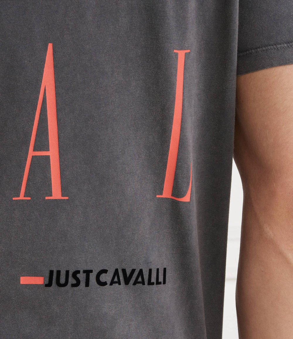 Футболка Just Cavalli - серый(76OAHE04CJW13)