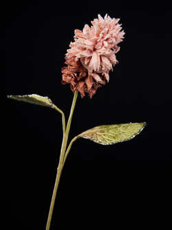 Цветок банкисия 13х46см ChristmasDeLuxe бронзовый