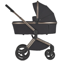 Детская коляска Anex Flo 2 в 1 Solo