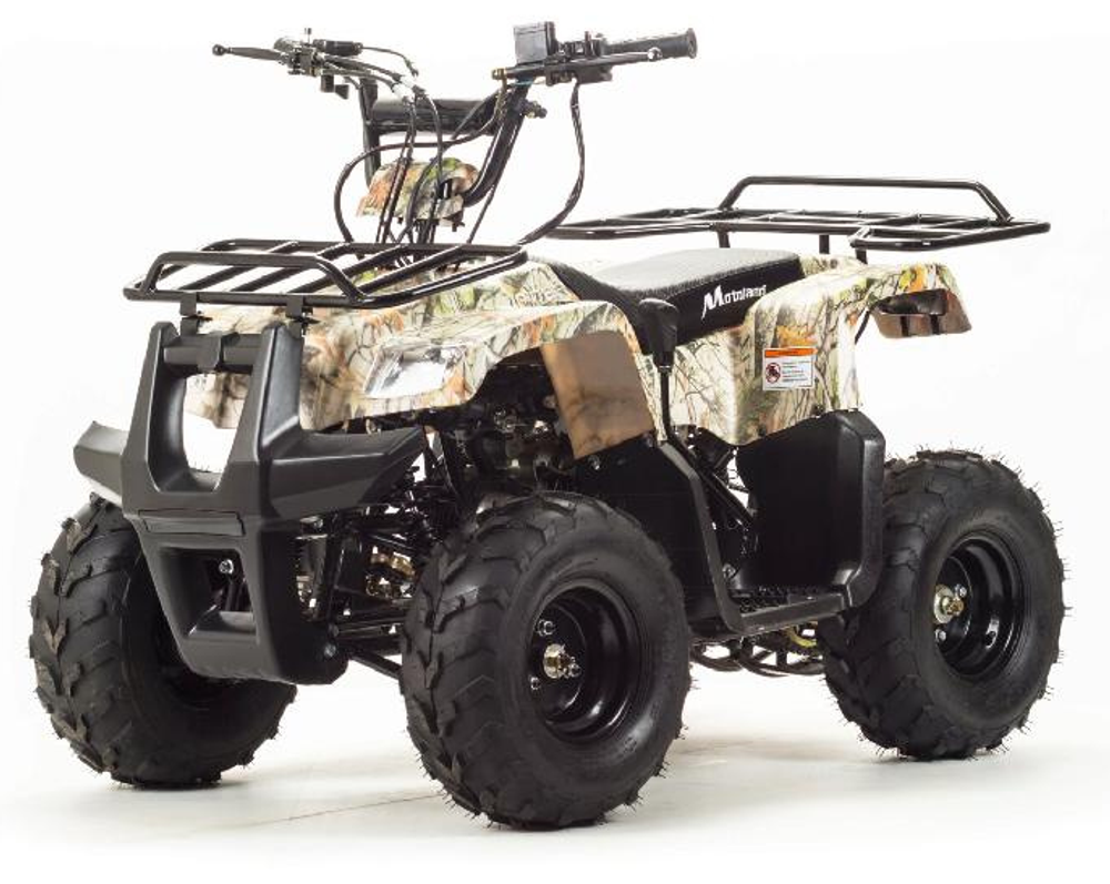 Квадроцикл MOTOLAND (МОТОЛЕНД) 110 RIDER