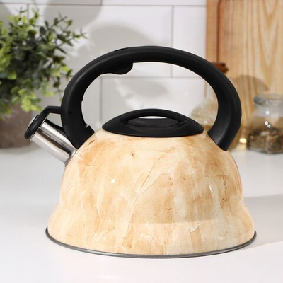 Чайник со свистком из нержавеющей стали Доляна «Скоттиш», 2,8 л (Цвет: не задано)