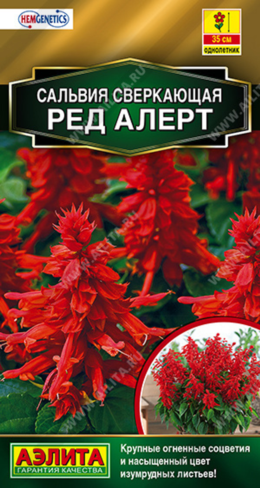 Сальвия Ред Алерт сверкающая 7шт Аэлита