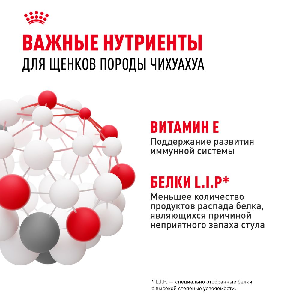 Сухой корм Royal Canin Chihuahua Puppy для щенков породы Чихуахуа до 8 месяцев Сухой корм Royal Canin Chihuahua Puppy для щенков породы Чихуахуа до 8 месяцев