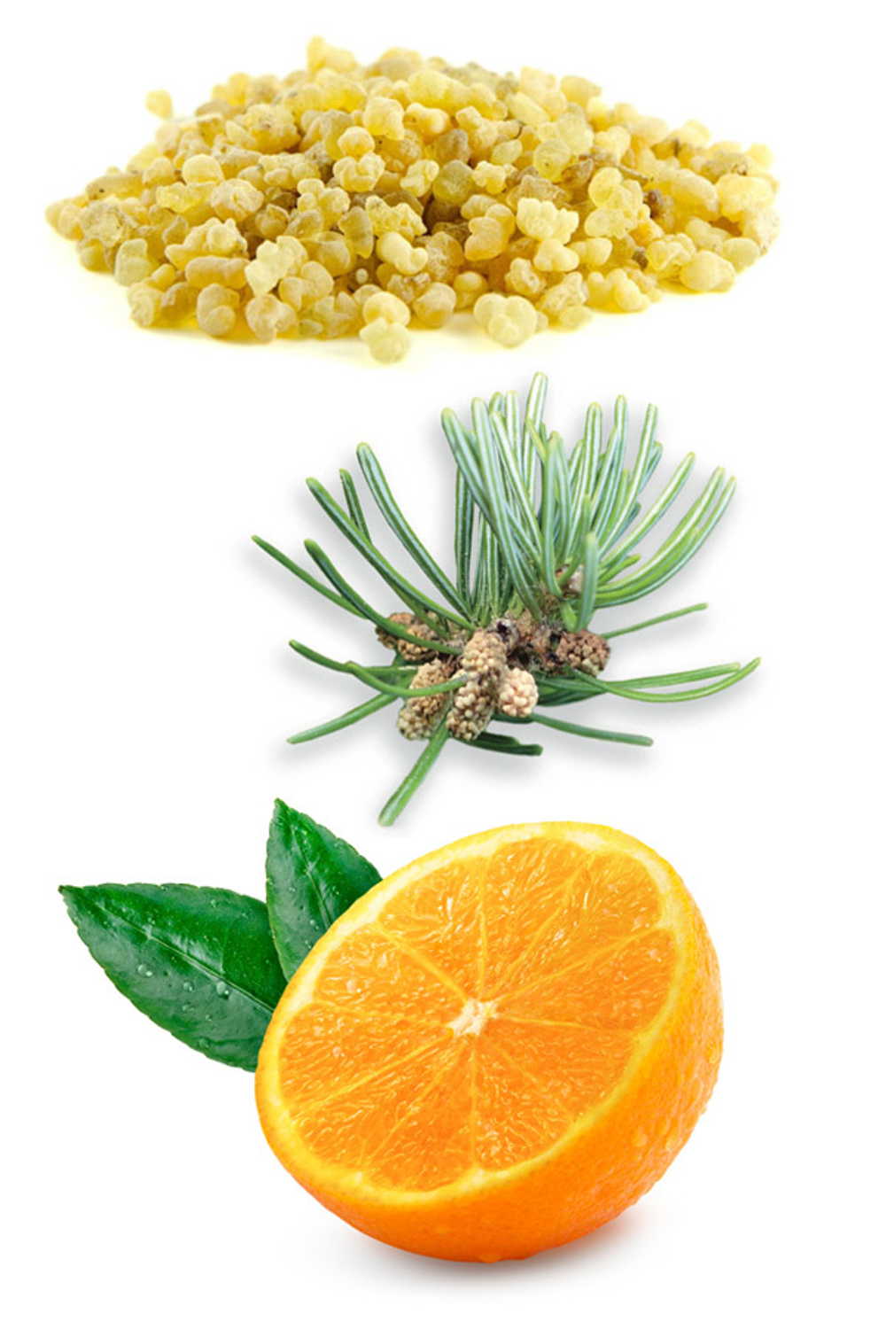 Смесь эфирных масел «Лесная свежесть» doTERRA Forest Breeze, 15 мл