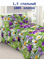 Комплект полутороспальный с одной наволочкой 70х70 см