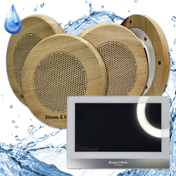 Комплект домашней акустической системы с караоке-усилителем Steam & Water SOUND SAUNA R4