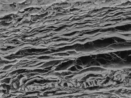 Изготовление биологических скаффолдов