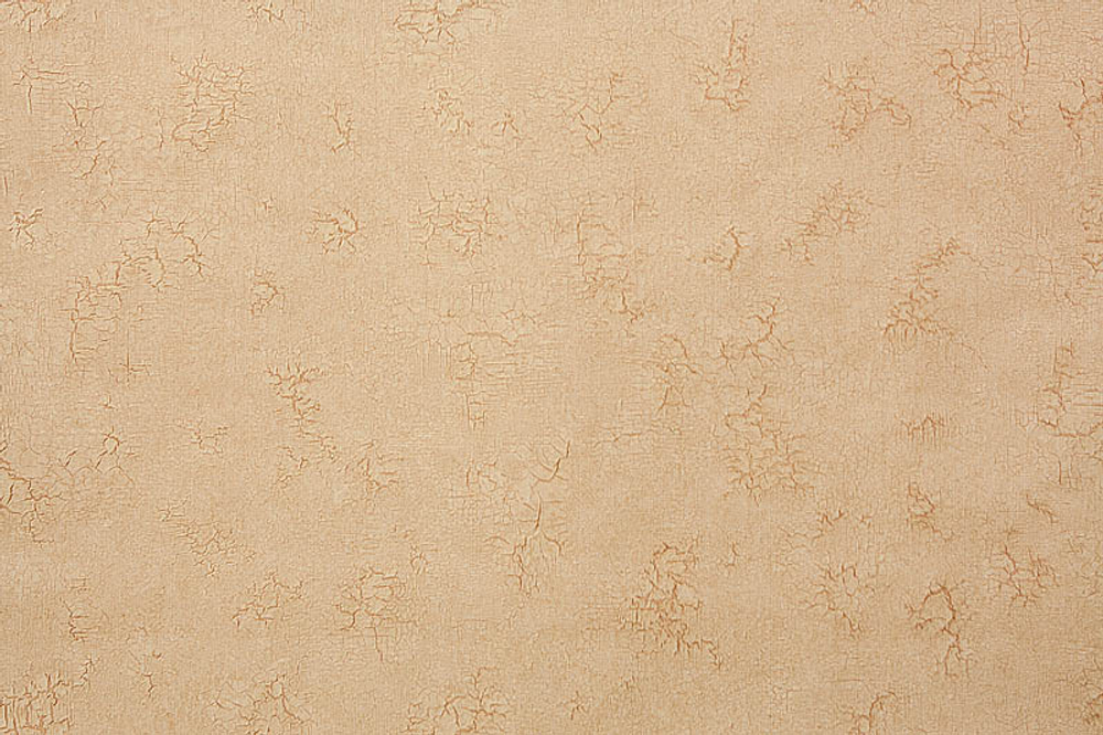 Обои 7098-38 Palitra Family
