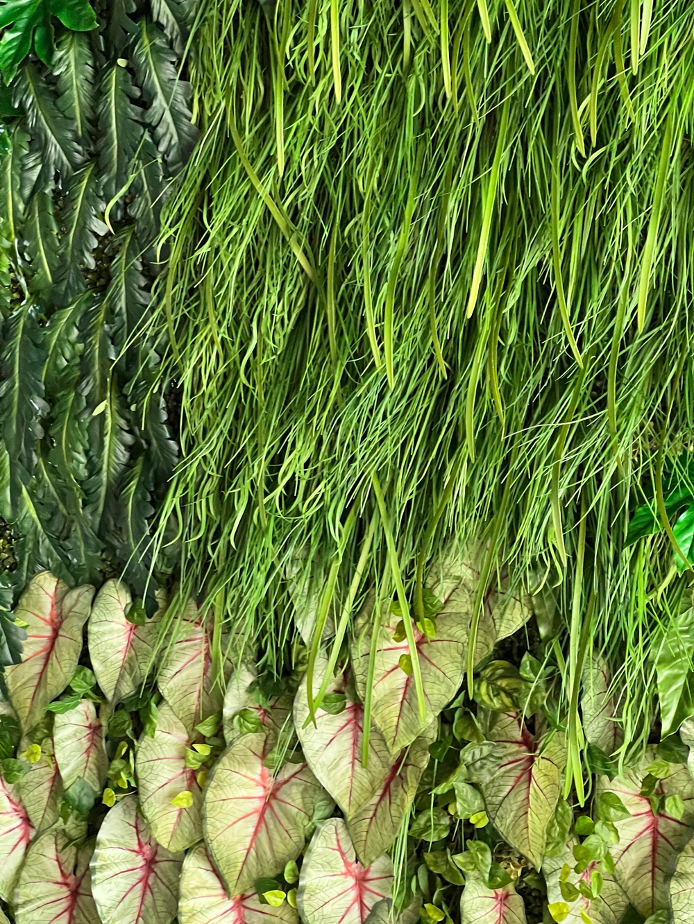 Осока листья 6 шт 65 см.