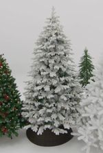 ель заснеженная Аляска