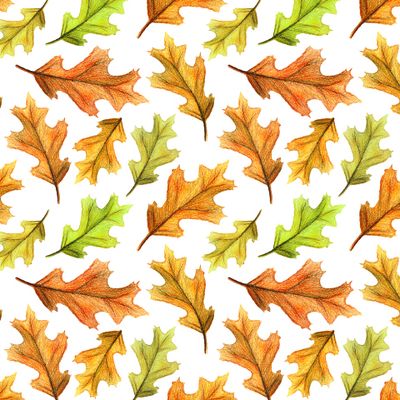 Акварельный осенний паттерн. Бесшовный узор с разноцветными листьями дуба