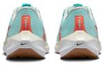 Кроссовки Nike Air Zoom Pegasus 40 (Женская размерная сетка)