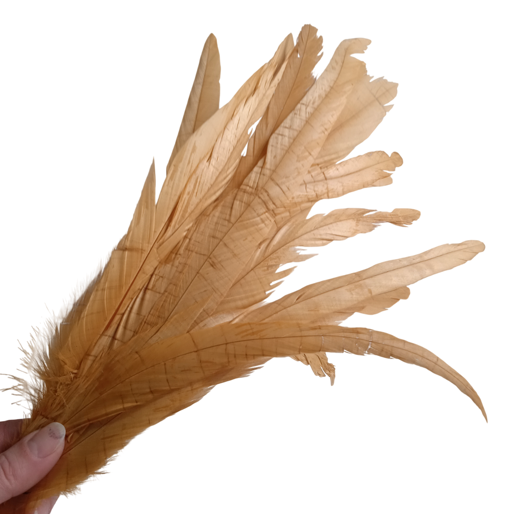 Перья петуха золотые 2 сорт 30 -35 см. за штуку