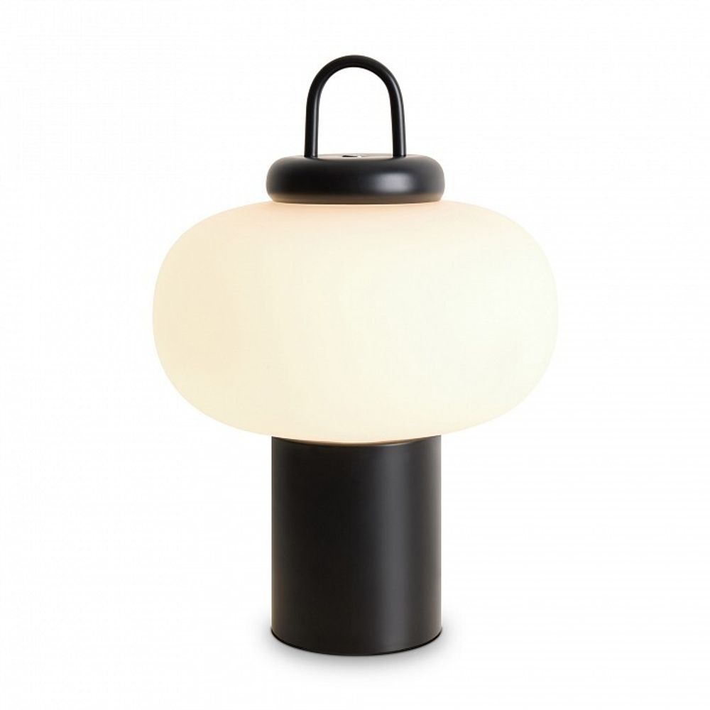 Настольная лампа декоративная Freya Take FR6175TL-L10B