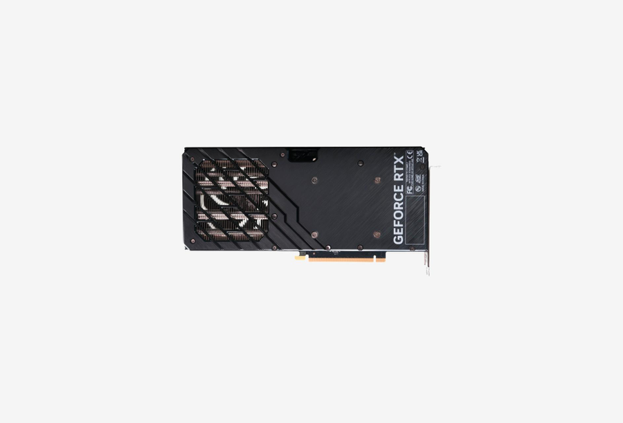 NED407SS19K9-1043D_0726528100944