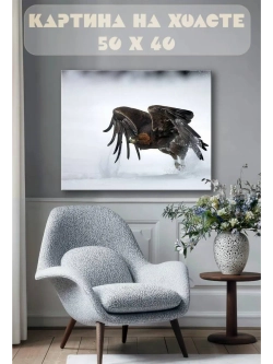 Картина на стену 40 X 50 Хищная птица