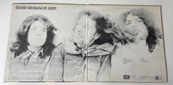 Винтажная виниловая пластинка LP Edgar Broughton Band Wasa Wasa (Germany 1980)
