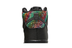 Кроссовки Nike Dunk Sb Spot Gasparilla