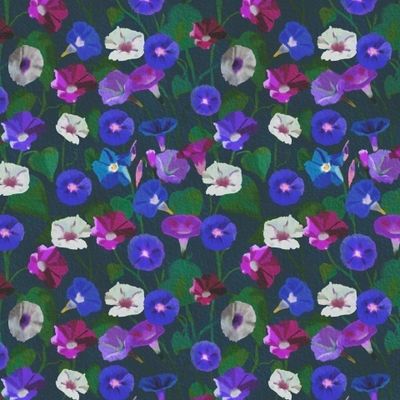 Акварельные цветы. Вьюнок