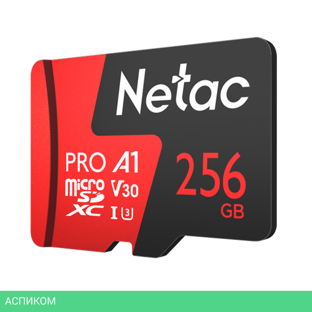 Карта памяти Netac NT02P500PRO-256G-R