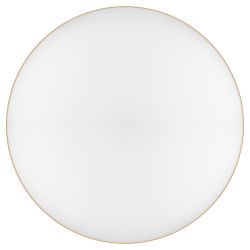 Светильник потолочный светодиодный ЭРА Классик без ДУ Relict 22 SPB-6-20 4К MG 20W 4000K Золото | Светильники SPB-6 без ДУ