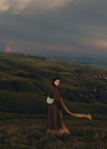 Сумка Polene Tonca EDITION DUO LAURIER