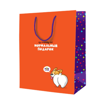 Пакет подарочный с рисунком (23*18)