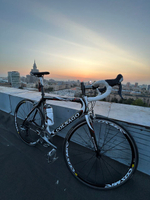 Прокат COLNAGO карбоновый шоссейник
