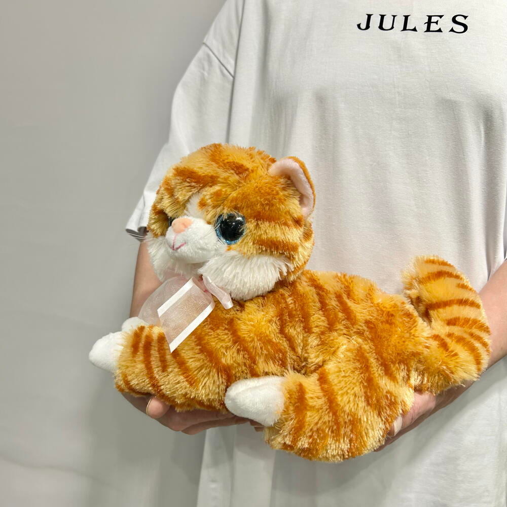Котик рыжик