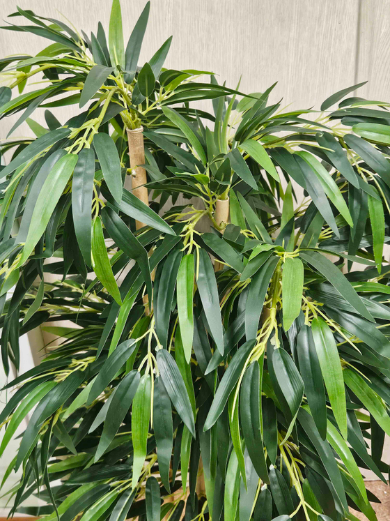 Дерево Бамбук темный 130см в горшке