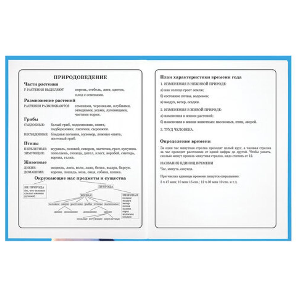 Дневник 1-4 класс 48 л., твердый, ЮНЛАНДИЯ, глянцевая ламинация, с подсказом, "Котик", 107147