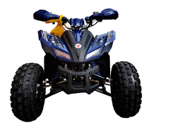 Квадроцикл MOTOLAND 125 Coyote PRO