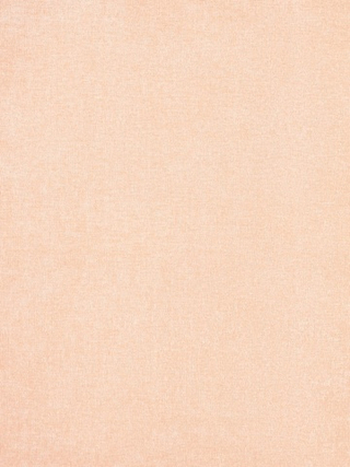 Микровельвет Velvet Lux (Вельвет Люкс) 25