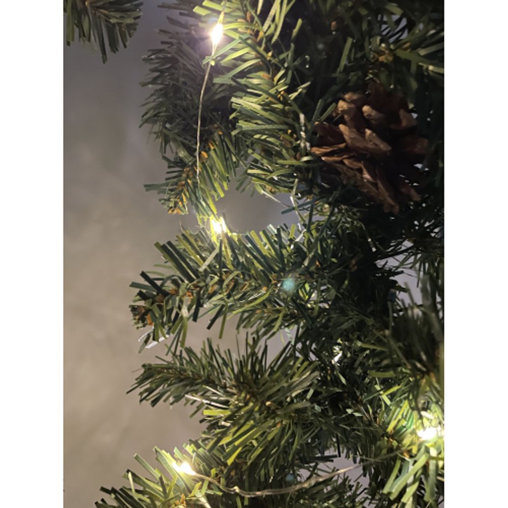 ENIN -5NW ЭРА Гирлянда LED Нить 5 м теплый свет, АА