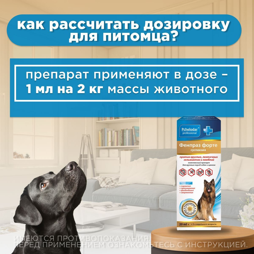 Суспензия от гельминтов и лямблий, профилактика дирофиляриоза для собак крупных пород Фенпраз Форте,20мл