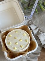 Бенто торт 750 гр Ванильный с клубникой