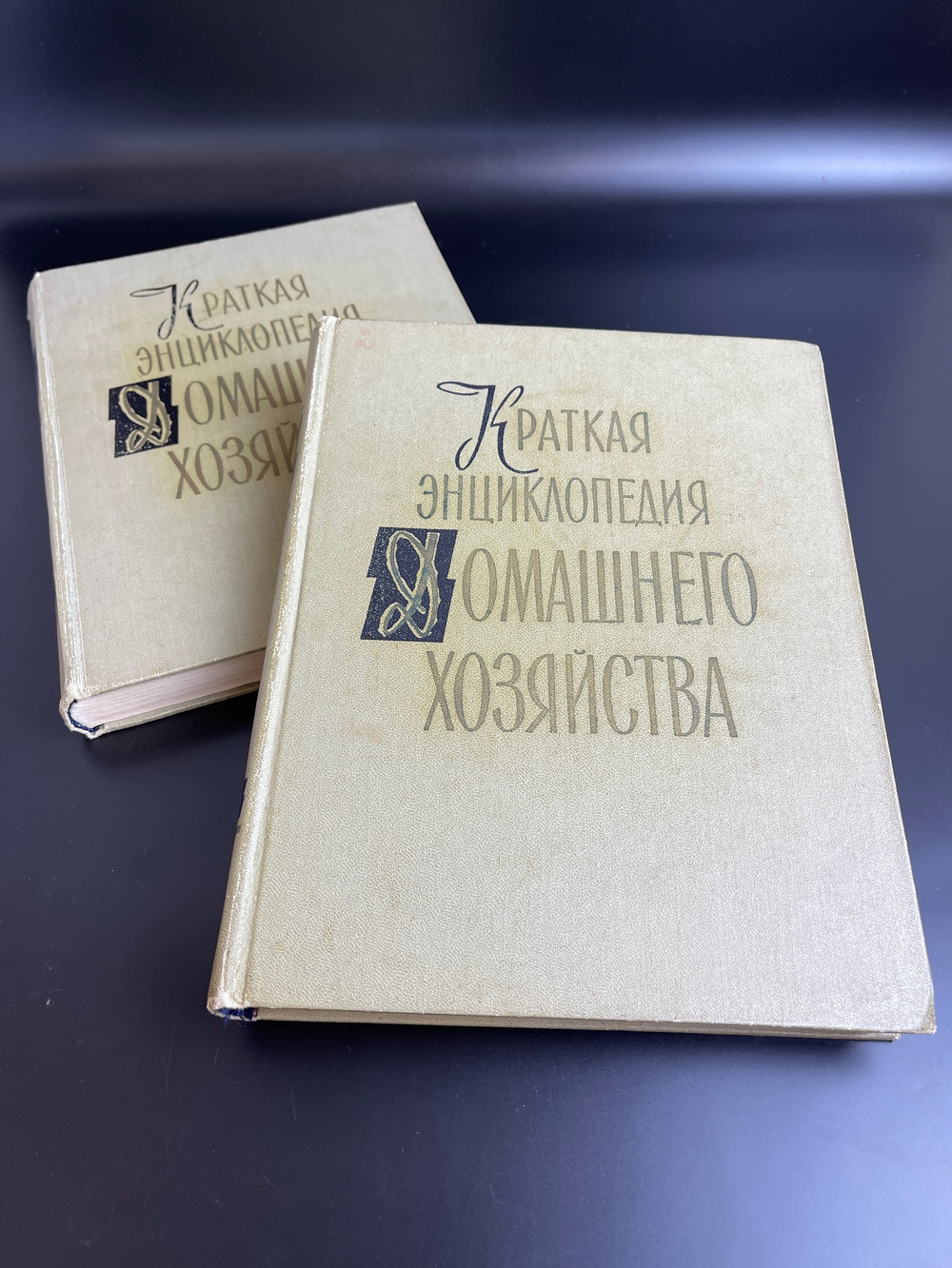2 тома книги "Краткая энциклопедия домашнего хозяйства" 1960 год СССР . Бондаренко Власов Лифшиц