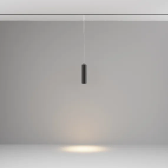 Трековый подвесной светильник Фокус / Focus Led Exility 3000K 12Вт 36° Technical tr041-2-12w3k-b