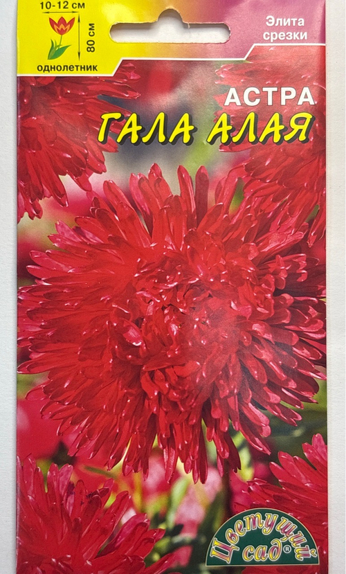 Астра Гала алая 0,1 г махровая СМЦ-449