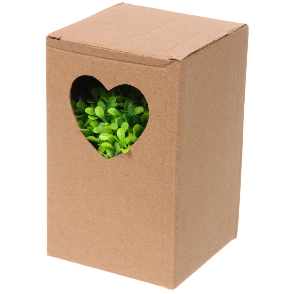 Цветочная композиция «Green garden» 10*12см в горшке, зелень