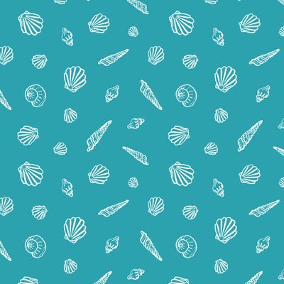 Маленькие белые ракушки на голубом фоне