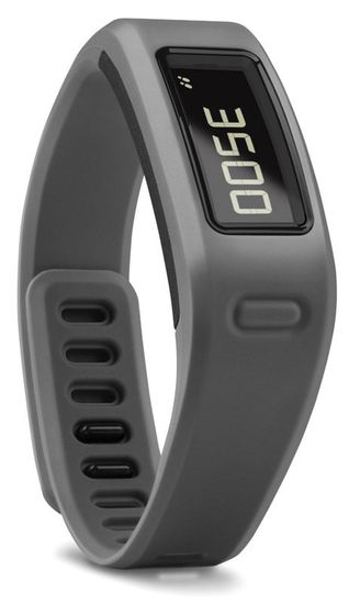 Спортивные часы Garmin Vivofit 010-01225-35