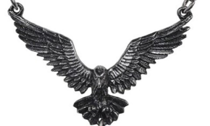Подвеска Alchemy Gothic P857 Hamingja