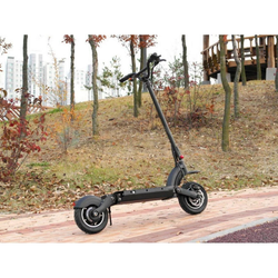 Электросамокат Dualtron 2S