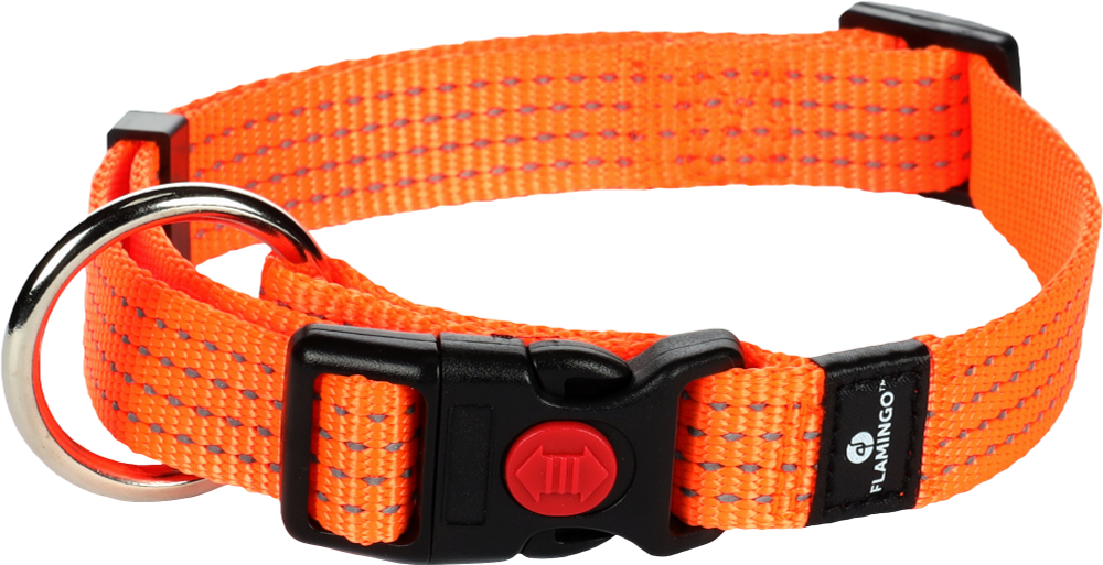 Ошейник LEN, M 40-55 см/ 20 мм, оранжевый, Flamingo