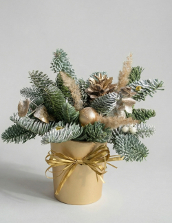 Композиция в стаканчике из датской ели «Зимний рай»